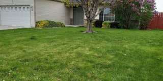 3 Bed 2 Bath one story home Gallery 1