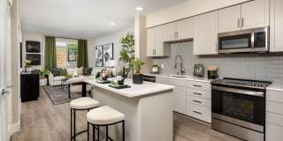 Canopy Murietta Gallery 1