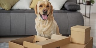 Westlake Meadows Gallery 18