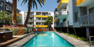 Violet on Virgil Violet on Virgil Gallery 16