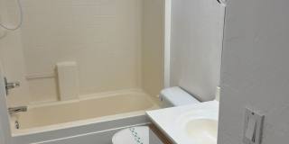 12071 W Dahlia  - 3 Bed, 2 Bath in El Mirage Gallery 17
