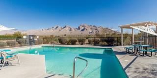 Oro Valley- 3 bedroom/ 3 bathroom home AVAILABLE MID AUGUST! Gallery 34