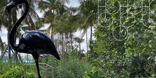 Flamingo Point Gallery 37