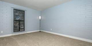 Bellevue Towers Gallery 67