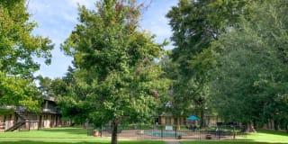 Chateau Apartments Gallery 14