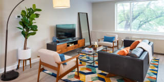 Dominion Plaza Gallery 6