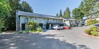 Roxclif Court Gallery 42