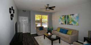 Las Ventanas Gallery 10