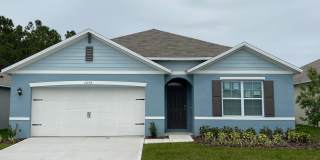 1235 IGUANA LOOP Gallery 1