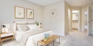 4929 Aspen Pine Boulevard Gallery 32