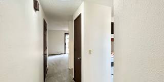 misty Gallery 5