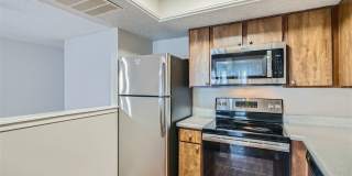 Rise Spring Pointe Gallery 122