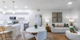 Mosaic Palms Gallery 14