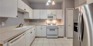 10541 Diamante Way Gallery 8