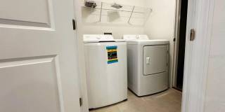 339 PUMA LOOP Gallery 6