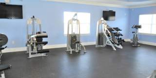 Alexandria Park Gallery 18