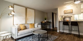 The Verge Gallery 15