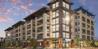 The McKinley Gallery 24