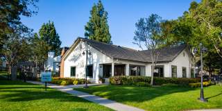 Vineyard Village Gallery 1