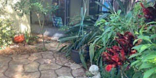 1565 Glentry Lane Gallery 13