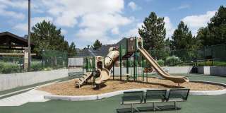 Addison at Cherry Creek Gallery 5