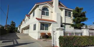 12227 Cheshire Gallery 1