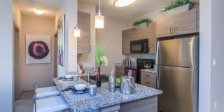 RIZE at Winter Springs Gallery 46