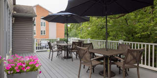 The Meadows Gallery 7