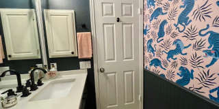 29608 TERRA VIS Gallery 16