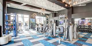 The Douglas at Stonelake Gallery 22