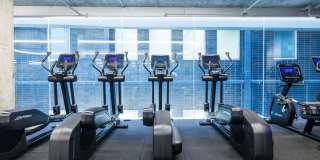 The Smile Gallery 15