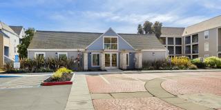 Riva Terra Apartments at Redwood Shores Gallery 65