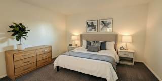 Azara Tempe Gallery 26