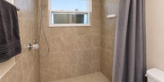 Stunning 3BD/2BTH Home in Holiday! Gallery 16