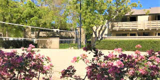 Newport Village Gallery 43