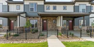 Mangold831 (KC-LN) Gallery 3