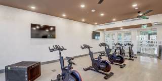 Aspire at Flamingo Grand Gallery 43