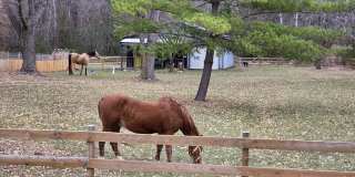 9500 Fox Valley Dr Gallery 1