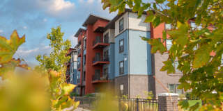 Riverfront Gallery 60