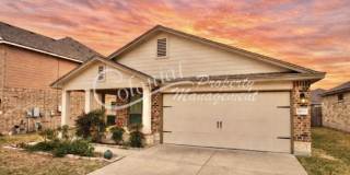 Available Now!! Gallery 1