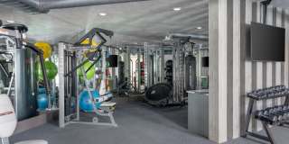 Cue Luxury Living Gallery 21