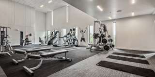 Lamar Union Gallery 53