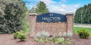 Halcyon at Cross Creek Gallery 1