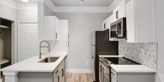 Solano at Chapel Hill Gallery 16