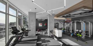 The Victor Gallery 7