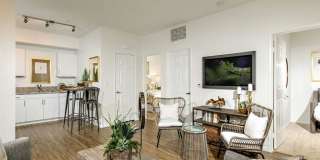 Stone Creek Gallery 1