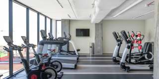 Rates Vary: $3,495 - $7,495 Gallery 21