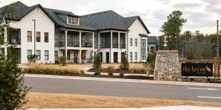 The Heron at River Island Gallery 34