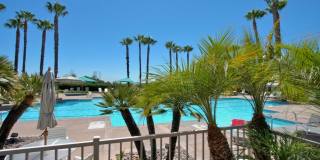 Beautiful and Highly Upgraded Furnished Home in the 55+ Community of Palmia! Gallery 31
