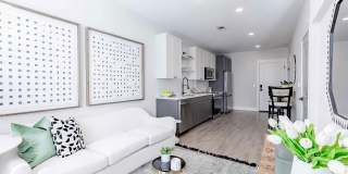 Novel Cary Gallery 16